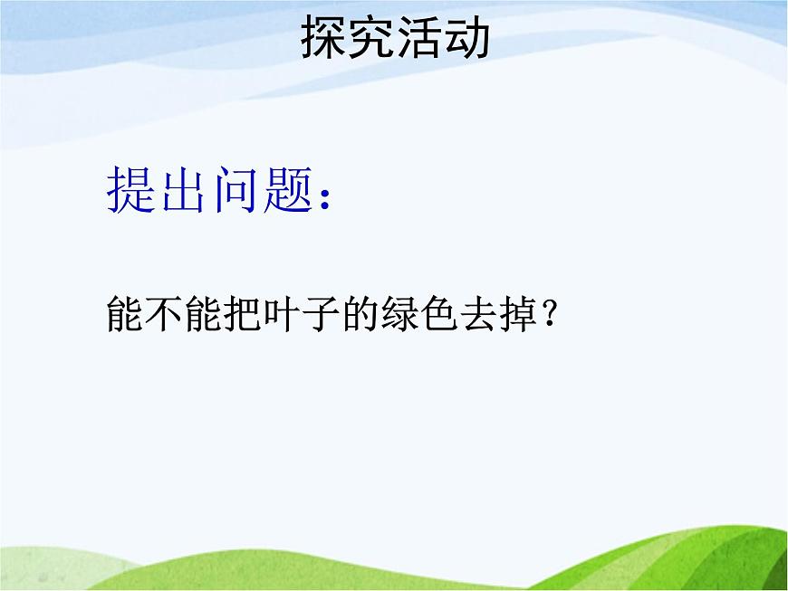 青島小學(xué)科學(xué)四上《3-植物的葉》PPT課件-(7)第6頁