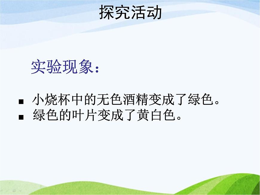 青島小學(xué)科學(xué)四上《3-植物的葉》PPT課件-(7)第7頁