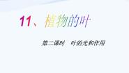 小学科学青岛版 (五四制)四年级上册3 植物的叶示范课课件ppt