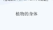 2021学年1 植物的身体评课课件ppt