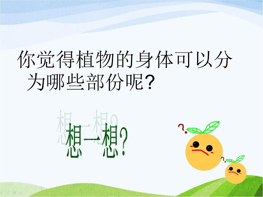 青島小學(xué)科學(xué)四上《1-植物的身體》PPT課件-(7)第3頁(yè)