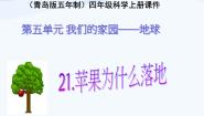 青岛版 (五四制)四年级上册第五单元 我们的家园——地球21 苹果为什么落地示范课课件ppt