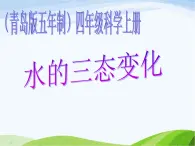 青岛小学科学四上《16-水的三态变化》PPT课件-(3)