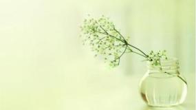 青岛版 (五四制)四年级下册6 自行车胎为什么爆裂背景图ppt课件