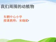 青岛小学科学三上《3-我们身边的动植物》PPT课件-(4)