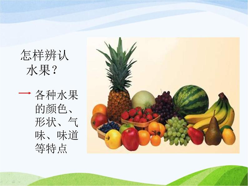 青岛小学科学三上《4-怎样认识物体》PPT课件-(4)05
