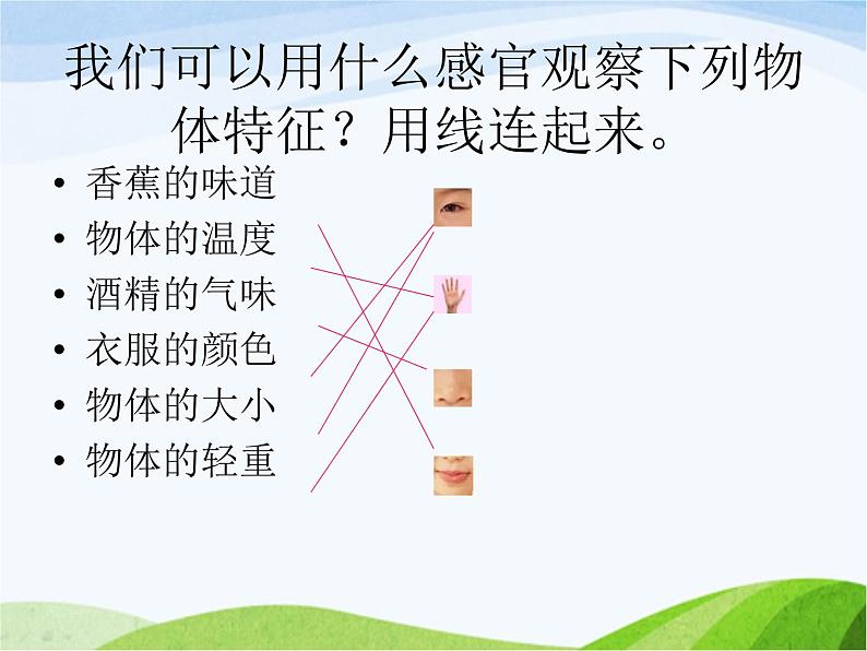 青岛小学科学三上《4-怎样认识物体》PPT课件-(4)07