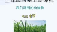 2020-2021学年第一单元 科学在我们身边3 我们身边的动植物课堂教学ppt课件