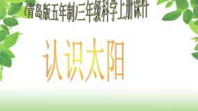 青岛版 (五四制)10 认识太阳课文ppt课件
