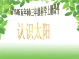 青岛小学科学三上《10-认识太阳》PPT课件-(2)