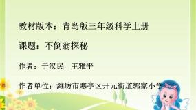 小学科学9 有趣的不倒翁多媒体教学课件ppt