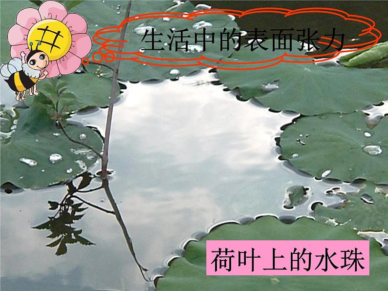 青岛小学科学三上《17-水面的秘密》PPT课件-(7)第3页
