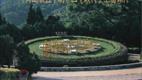 小学科学青岛版 (五四制)三年级上册13 制作计时工具教课ppt课件