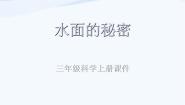科学青岛版 (五四制)第四单元  水的科学17 水面的秘密示范课ppt课件