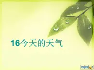 青岛小学科学三上《19-今天的天气》PPT课件-(6)