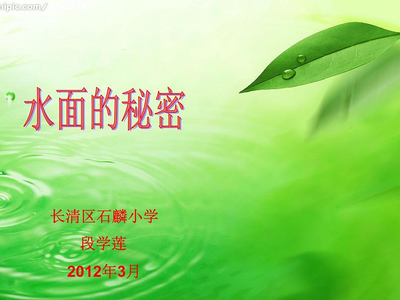 青岛小学科学三上《17-水面的秘密》PPT课件-(4)第2页