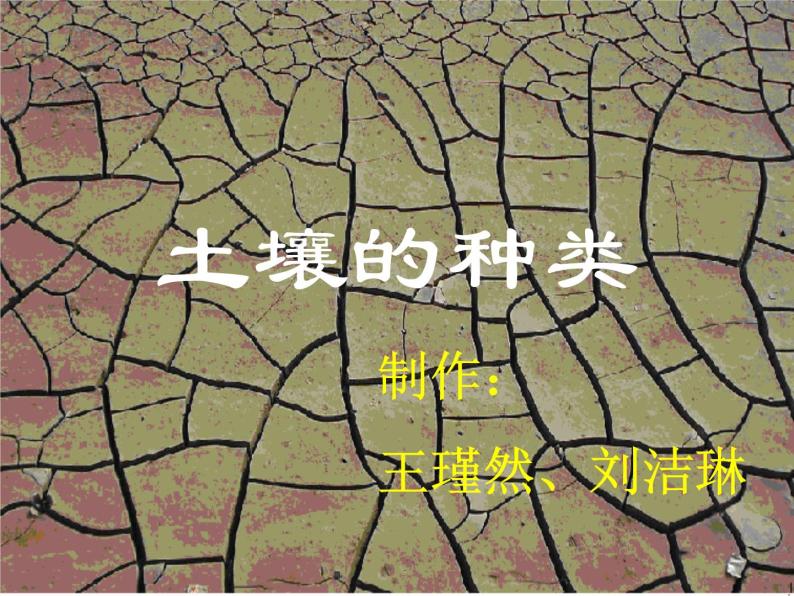 青岛小学科学三下《11-土壤的种类-》PPT课件-(1)01