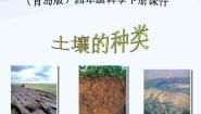 青岛版 (五四制)三年级下册11 土壤的种类教课ppt课件