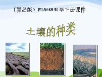 青岛版 (五四制)三年级下册11 土壤的种类教课ppt课件
