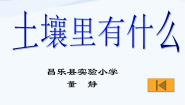 小学科学青岛版 (五四制)三年级下册10 土壤里有什么多媒体教学ppt课件