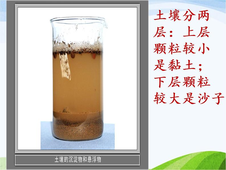 青岛小学科学三下《10-土壤里有什么》PPT课件-(4)第5页