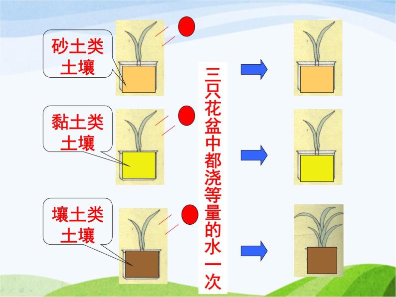 青岛小学科学三下《11-土壤的种类-》PPT课件-(1)08