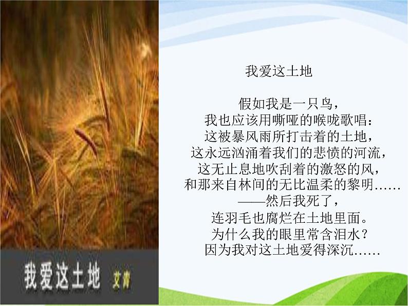 青岛小学科学三下《11-土壤的种类-》PPT课件-(3)第2页
