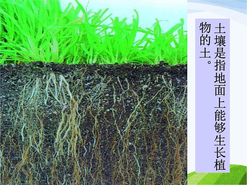 青岛小学科学三下《11-土壤的种类-》PPT课件-(3)第4页