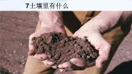 科学三年级下册10 土壤里有什么课文内容ppt课件