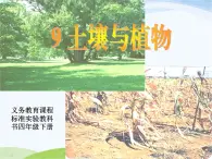 青岛小学科学三下《12-土壤与植物》PPT课件-(2)