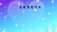 小学科学青岛版 (五四制)三年级下册10 土壤里有什么图文ppt课件