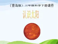 青岛小学科学三下《7-认识太阳》PPT课件-(4)