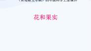 科学四年级上册5 花和果实备课ppt课件