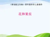 青岛小学科学四上《5-花和果实》PPT课件-(2)