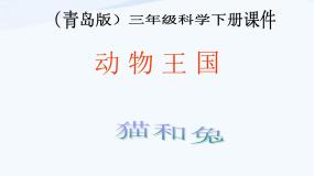 青岛版 (五四制)三年级下册17 猫和兔课文内容ppt课件