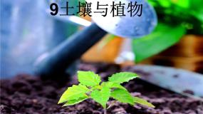 小学青岛版 (五四制)12 土壤与植物集体备课ppt课件