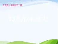 青岛小学科学三下《21-谁的本领大》PPT课件-(3)