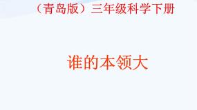 小学科学青岛版 (五四制)三年级下册21 谁的本领大图片ppt课件