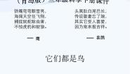 小学科学青岛版 (五四制)三年级下册06 它们都是鸟教课课件ppt