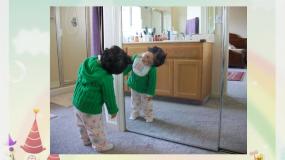 小学科学青岛版 (五四制)四年级下册10 玩镜子授课ppt课件