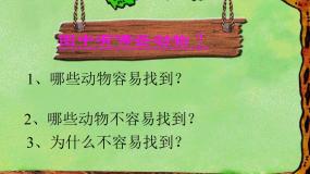 科学四年级下册16 变色龙授课ppt课件