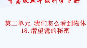 小学青岛版 (五四制)11 潜望镜的秘密授课课件ppt