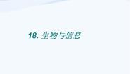 青岛版 (五四制)四年级下册18 生物与信息示范课课件ppt