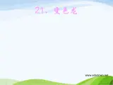 青岛小学科学四下《16-变色龙》PPT课件-(7)