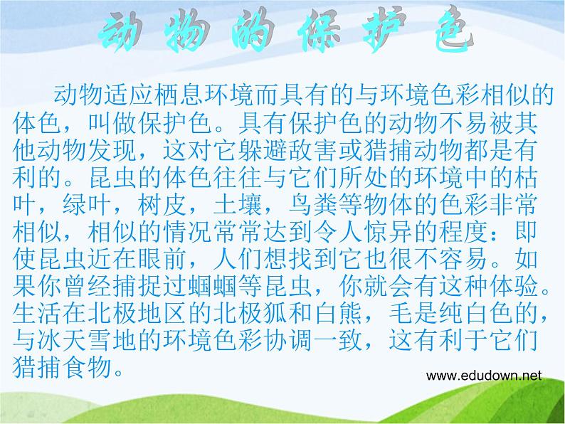 青岛小学科学四下《16-变色龙》PPT课件-(7)05