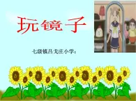 青岛小学科学四下《10-玩镜子》PPT课件-(5)