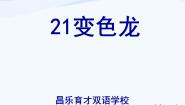 小学科学青岛版 (五四制)四年级下册16 变色龙课前预习课件ppt
