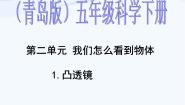 小学科学青岛版 (五四制)四年级下册第三单元 光与我们的生活13 凸透镜教课内容课件ppt