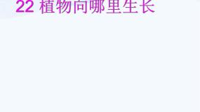 小学科学青岛版 (五四制)四年级下册17 植物向哪里长教学课件ppt