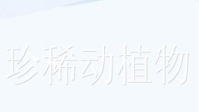 青岛版 (五四制)四年级下册20 珍稀动植物课前预习课件ppt
